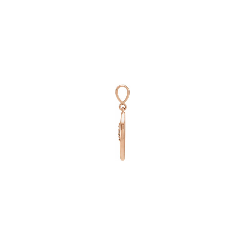 Lion Framed Medallion Pendant rose (14K) side - Popular Jewelry - New York