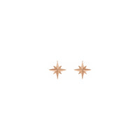Vipuli vya Star Star Stud viliongezeka (14K) mbele - Popular Jewelry - New York