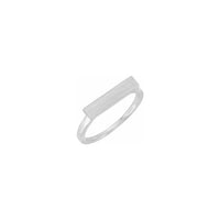 బార్ సిగ్నెట్ రింగ్ వైట్ (14K) బ్రష్డ్ మెయిన్ - Popular Jewelry - న్యూయార్క్