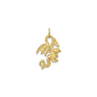 Mặt trước 3D Winged Dragon Charm màu vàng (14K) - Popular Jewelry - Newyork