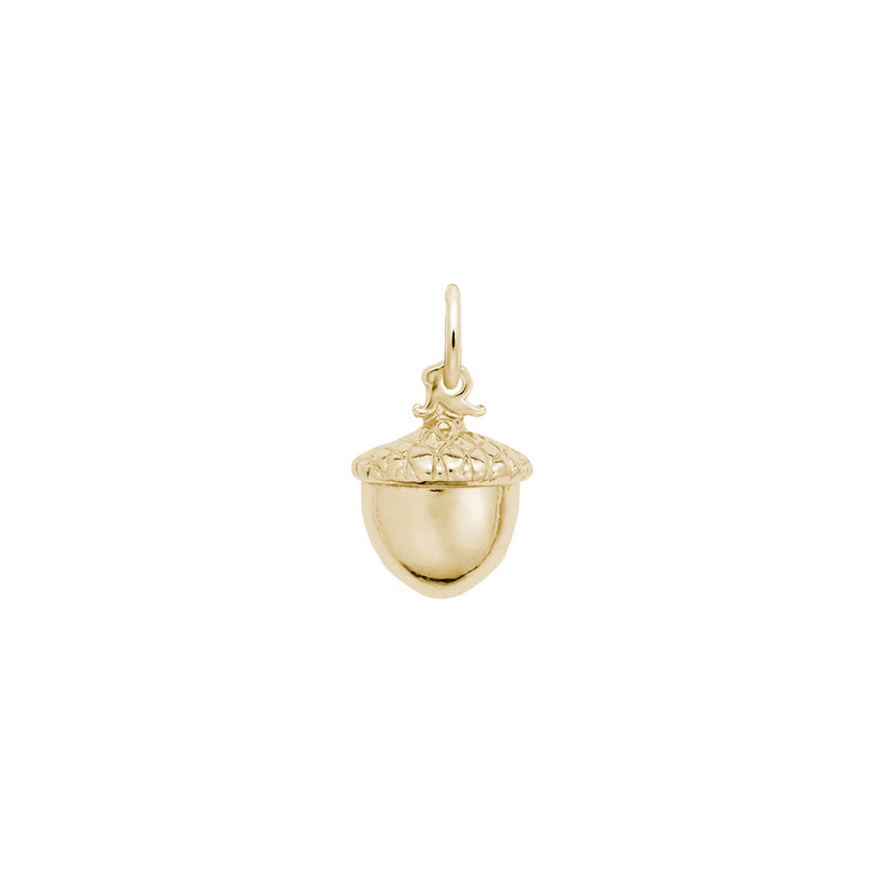 Acorn Charm yellow (14K) main - Popular Jewelry - New York