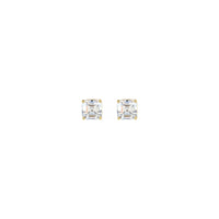 Asscher Cut Diamond Solitaire (1/2 CTW) Friction Back Stud Oorbelle (14K)