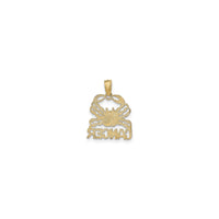 Cancer Zodiac Sign Flat Pendant (14K) back - Popular Jewelry - New York