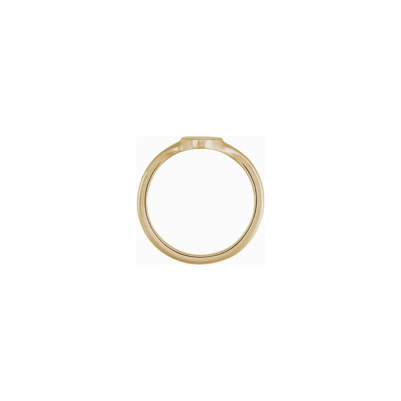 Celestial Oval Signet Ring (14K) setting - Popular Jewelry - New York
