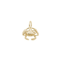 Crab Accent Charm yellow (14K) main - Popular Jewelry - New York
