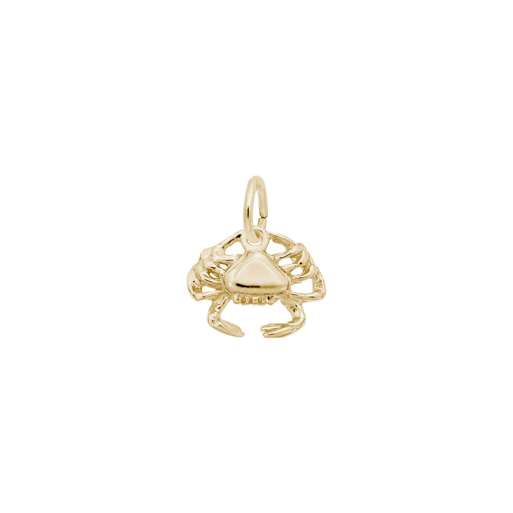 Crab Accent Charm yellow (14K) main - Popular Jewelry - New York