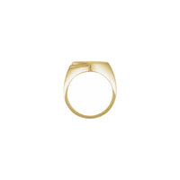Double Slashed Signet Ring yellow (14K) setting - Popular Jewelry - New York