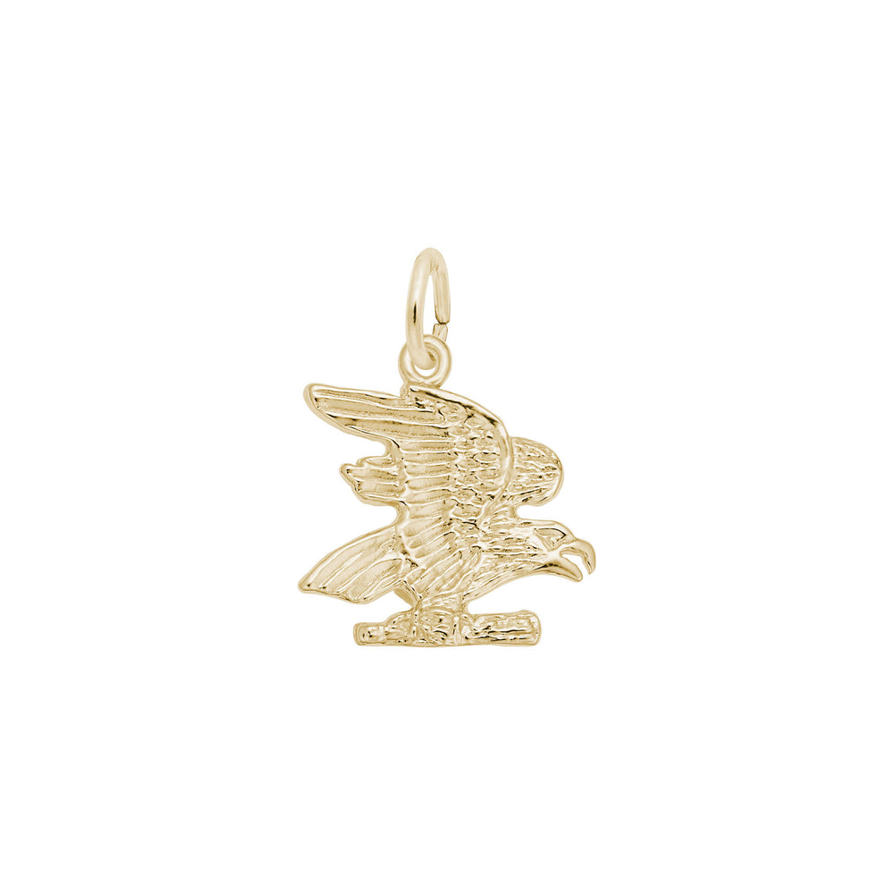 Eagle Charm yellow (14K) main - Popular Jewelry - New York