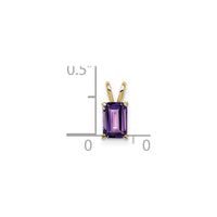 Emerald Cut Amethyst Pendant 6x4 (14K) scale - Popular Jewelry - New York
