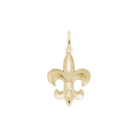 Fleur de Lis Charm yellow (14K) main - Popular Jewelry - New York