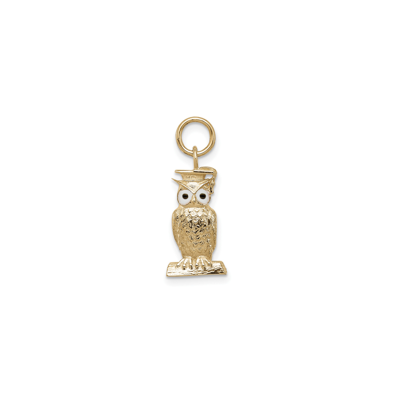 Graduation Owl Enamel Pendant (14K) front - Popular Jewelry - New York