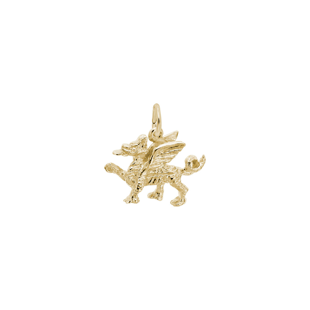 Griffin Charm yellow (14K) main - Popular Jewelry - New York