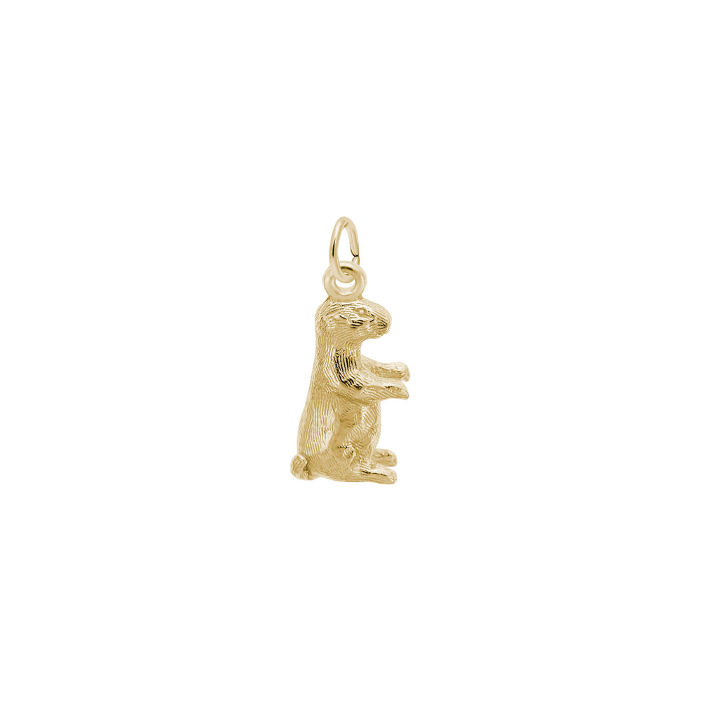 Groundhog Charm yellow (14K) main - Popular Jewelry - New York