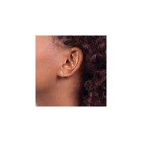 Icy Fern Leaf Post Earrings (14K) preview - Popular Jewelry - New York