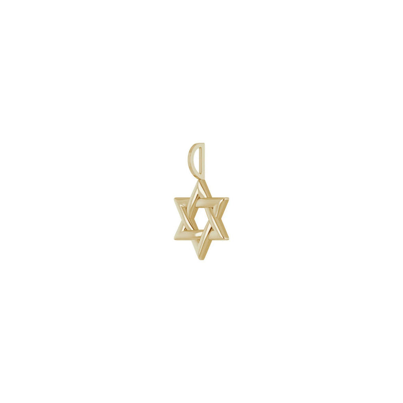 Intertwined Star of David Pendant (14K) diagonal - Popular Jewelry - New York