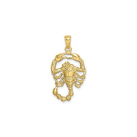 Suuri Skorpioni Zodiac Riipus (14K) edessä - Popular Jewelry - New York