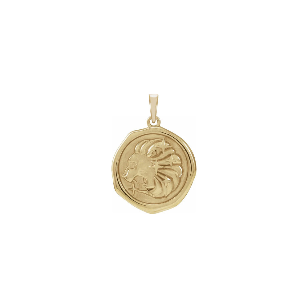 Lion Spirit Animal Pendant (14K) front - Popular Jewelry - New York