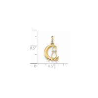 Petite Cat over the Moon Charm (14K) scale - Popular Jewelry - New York