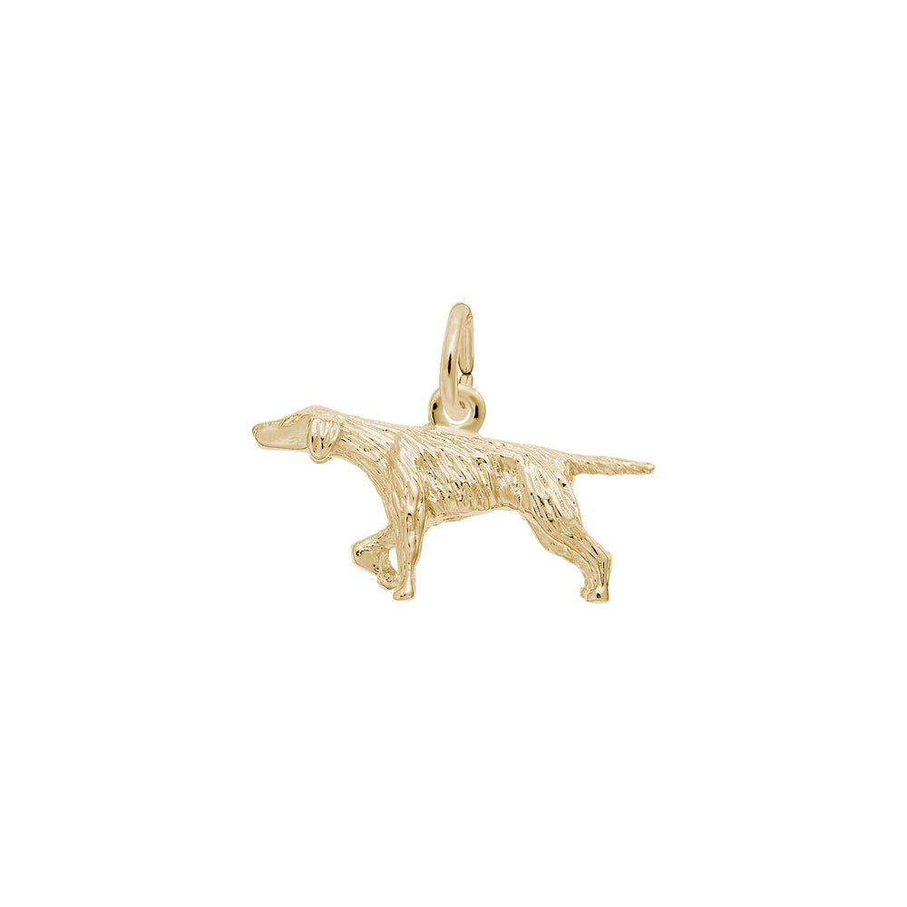 Pointer Dog Charm yellow (14K) main - Popular Jewelry - New York