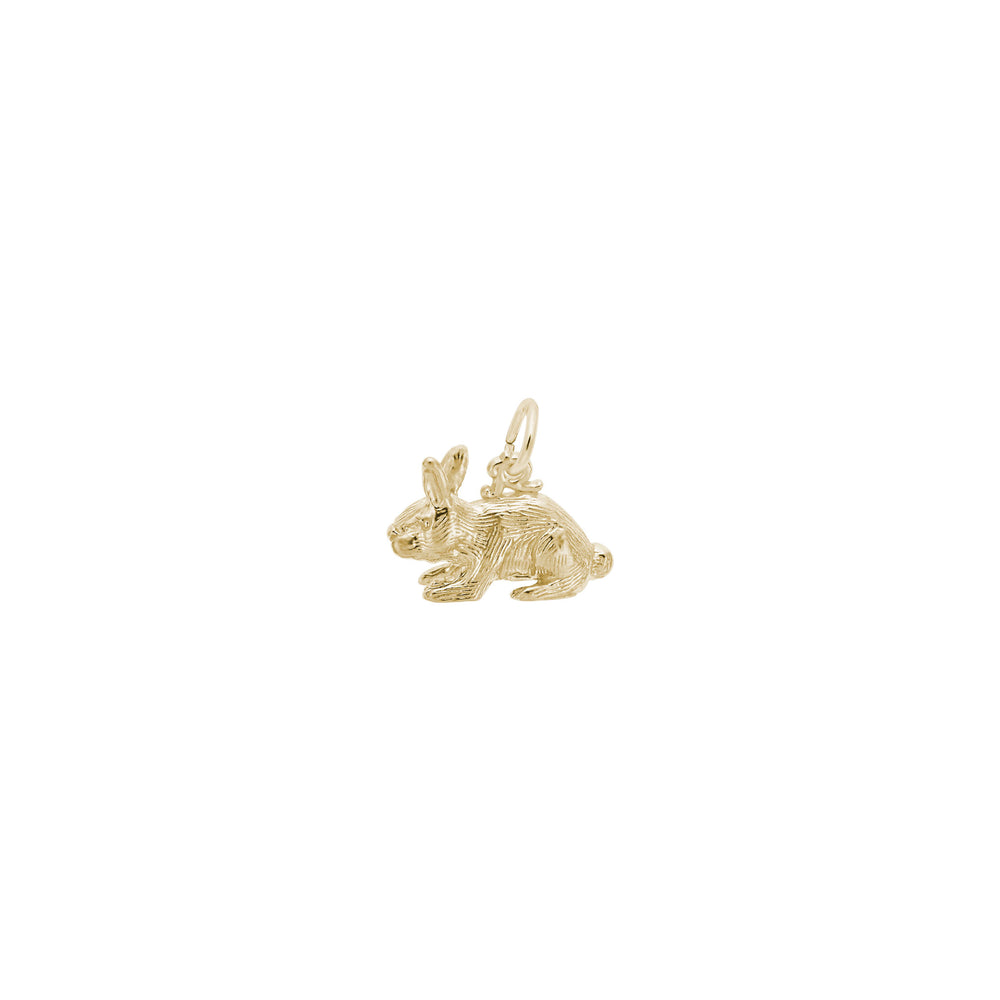 Rabbit Charm yellow (14K) main - Popular Jewelry - New York