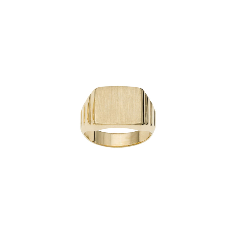 Rectangular Satin Signet Ring (14K) main - Popular Jewelry - New York