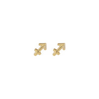 Sagittarius Zodiac Sign Stud Earrings (14K) front - Popular Jewelry - New York