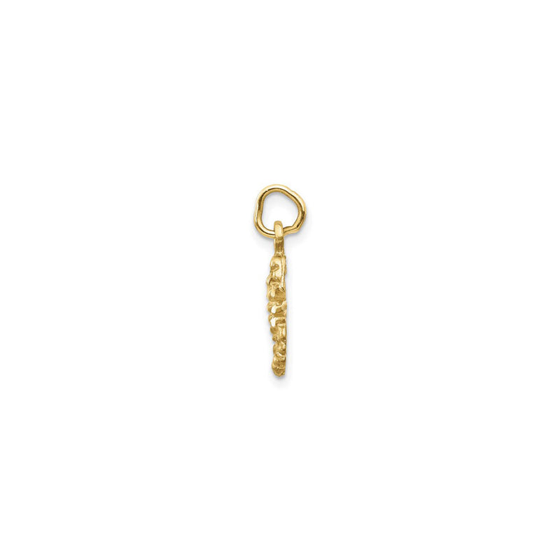 Satin Scorpio Zodiac Pendant (14K) side - Popular Jewelry - New York