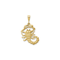 Scorpio Zodiac Textured Pendant (14K) front - Popular Jewelry - New York