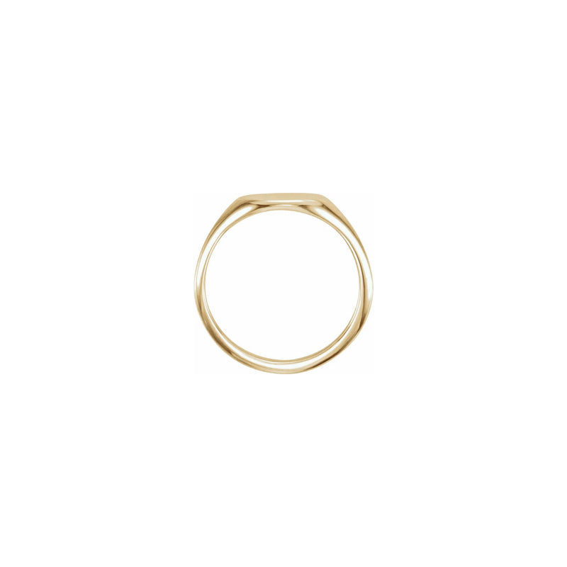 Sideways Oval Signet Ring (14K) setting- Popular Jewelry - New York