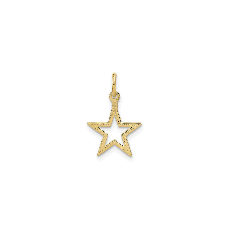 Star Contour Diamond Cut Pendant (14K) back - Popular Jewelry - New York