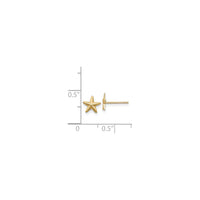 Star Stud 3D Earrings (14K) scale - Popular Jewelry - New York