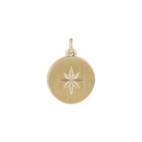 Starburst Brush Finish Disc Pendant (14K) front - Popular Jewelry - New York