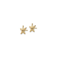 Starfish Friction Post Earrings (14K) side - Popular Jewelry - New York