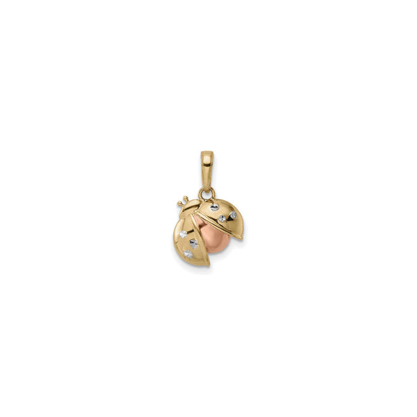 Tricolor Ladybug Pendant (14K) front - Popular Jewelry - New York