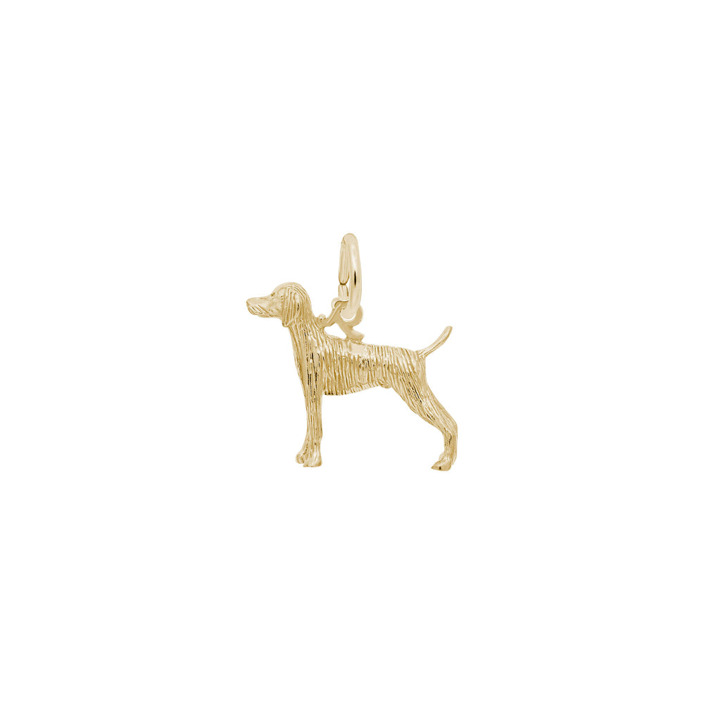 Weimaraner Dog Charm yellow (14K) main - Popular Jewelry - New York