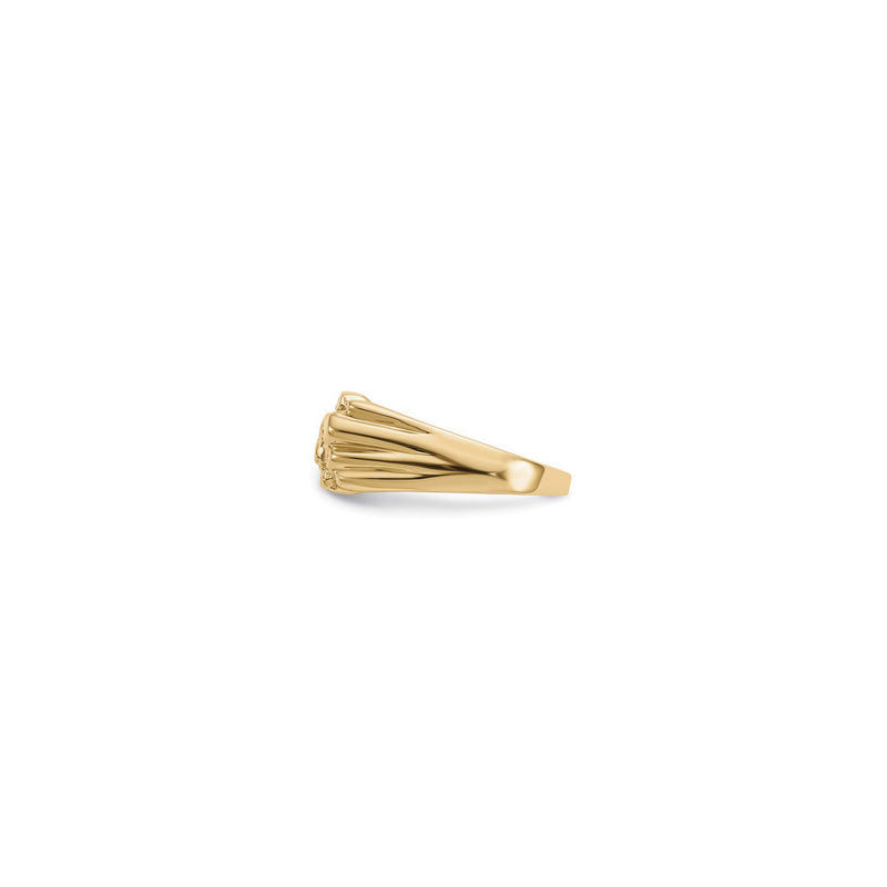 Wide Nugget Ring (14K) side - Popular Jewelry - New York