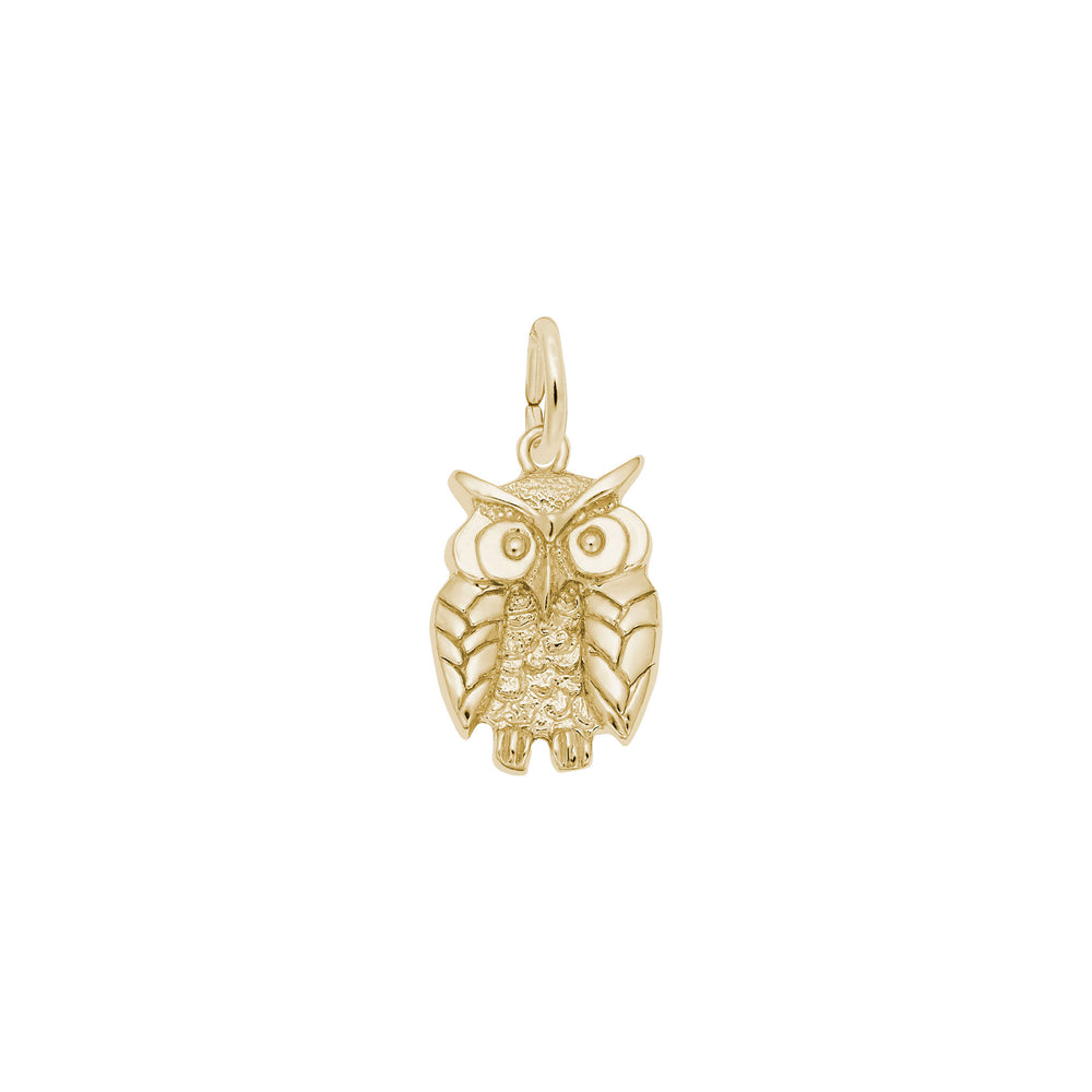 Wise Owl Pendant yellow (14K) main - Popular Jewelry - New York
