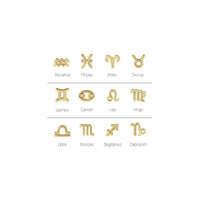 Zodiac Sign Stud Earrings (14K) main - Popular Jewelry - New York