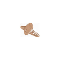 Celestial Oval Signet Ring nitsangana (14K) lehibe - Popular Jewelry - New York