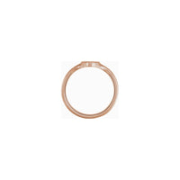 Celestial Oval Signet Ring rose (14K) setting - Popular Jewelry - New York