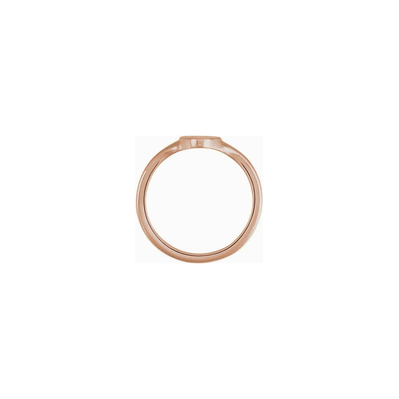 Celestial Oval Signet Ring rose (14K) setting - Popular Jewelry - New York