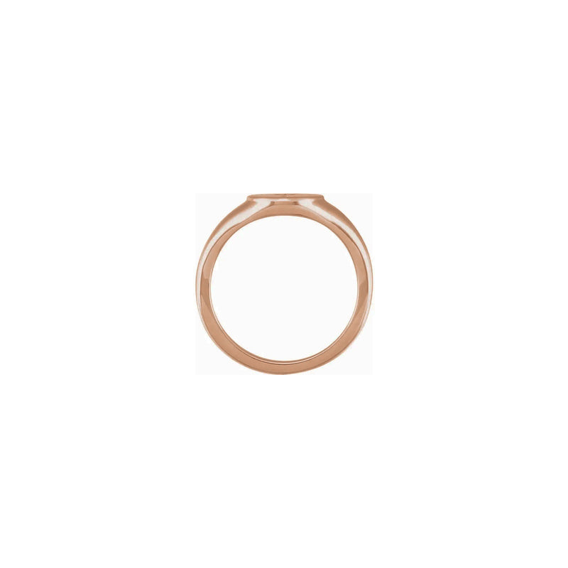 Compass Signet Ring white (14K) setting - Popular Jewelry - New York
