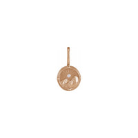 Earth Element Diamond Medal Pendant rose (14K) front - Popular Jewelry - New York
