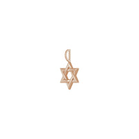Bir-biriga bog'langan Devid yulduzi kulonli atirgul (14K) diagonali - Popular Jewelry - Nyu York
