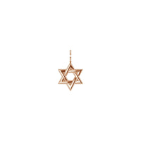 Prepletená predná strana s príveskom s ružou Dávidovej hviezdy (14K) - Popular Jewelry - New York