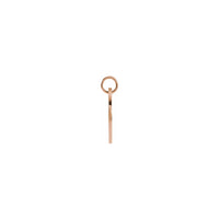 Pisces Zodiac Symbol Disc Pendant rose (14K) side - Popular Jewelry - New York