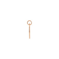 Penjoll disc Símbol del zodíac Escorpí rosa (14K) lateral- Popular Jewelry - Nova York