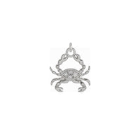 ಡೈಮಂಡ್ ಕ್ಯಾನ್ಸರ್ ರಾಶಿಚಕ್ರ ಪೆಂಡೆಂಟ್ ಬಿಳಿ (14K) ಮುಂಭಾಗ - Popular Jewelry - ನ್ಯೂ ಯಾರ್ಕ್