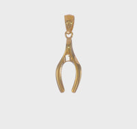 Glossy Wishbone Pendant (14K)
