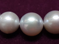 Muince Pearl Southsea (10-14 mm) - Lucky Diamond Nua-Eabhrac 169 Sráid na Canálach 10013 Siopa jewelry Playboi Charlie Chinatown @ luckydiamondny 2124311180
